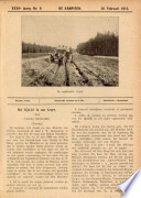 26 feb 1915